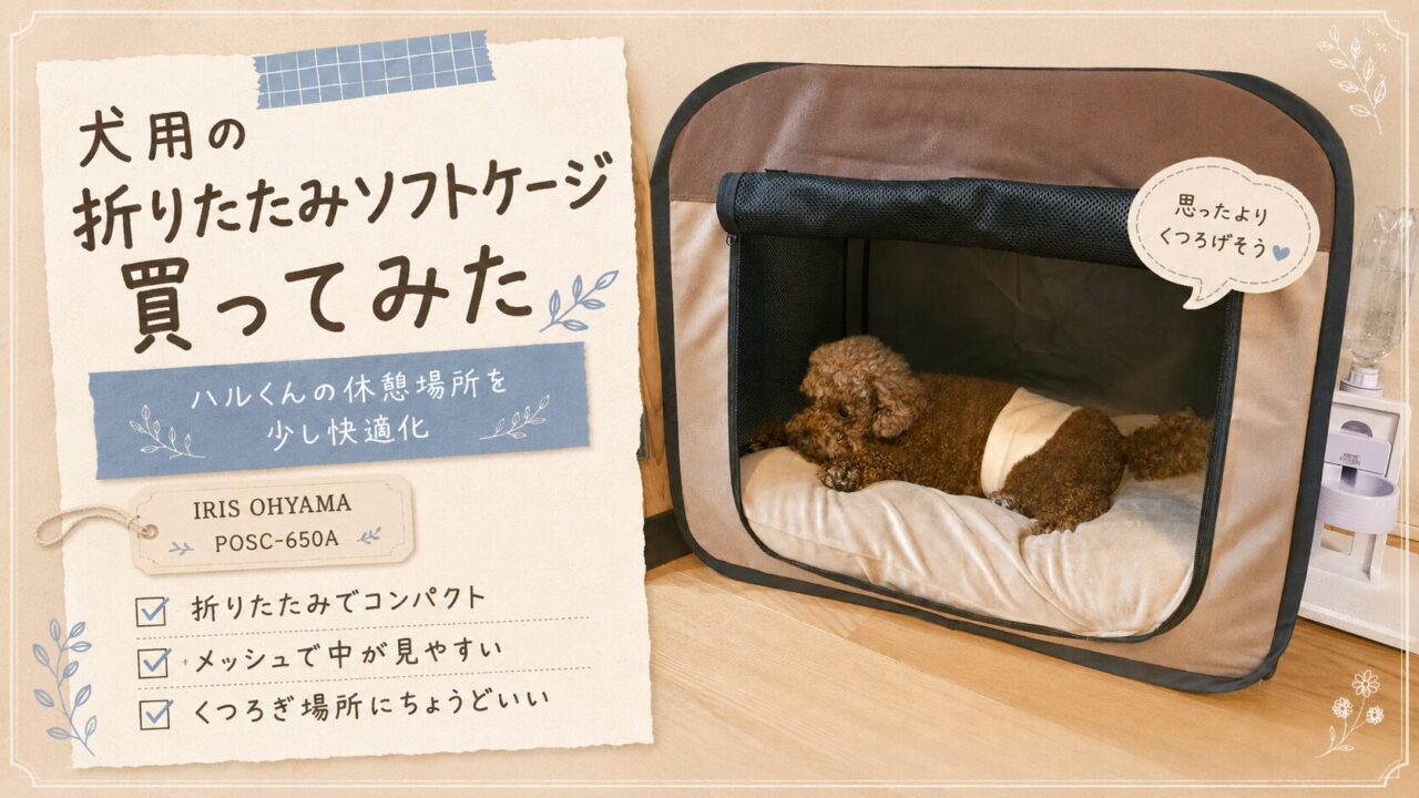 ハル 新しいソフトケージ