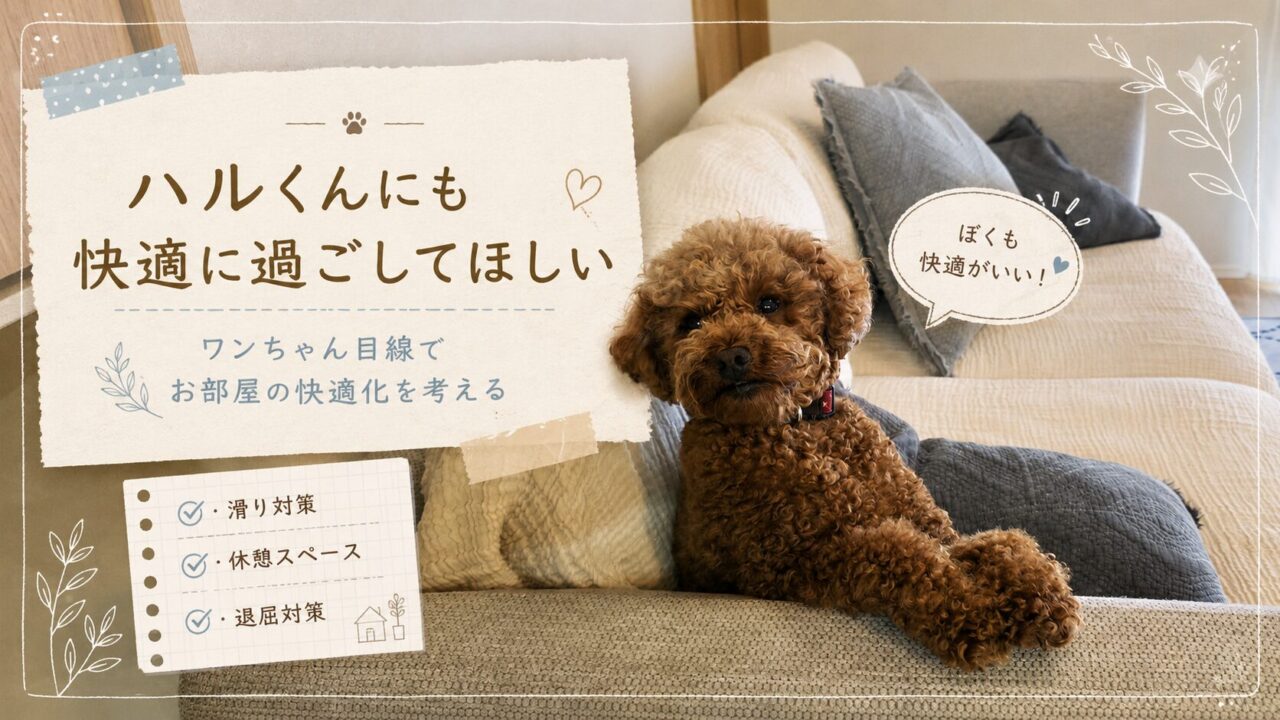 ハル 快適化